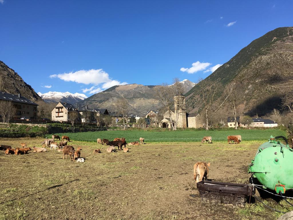 Camping Boneta 巴鲁尔拉 外观 照片