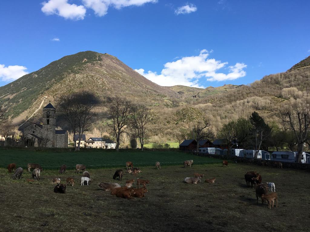 Camping Boneta 巴鲁尔拉 外观 照片